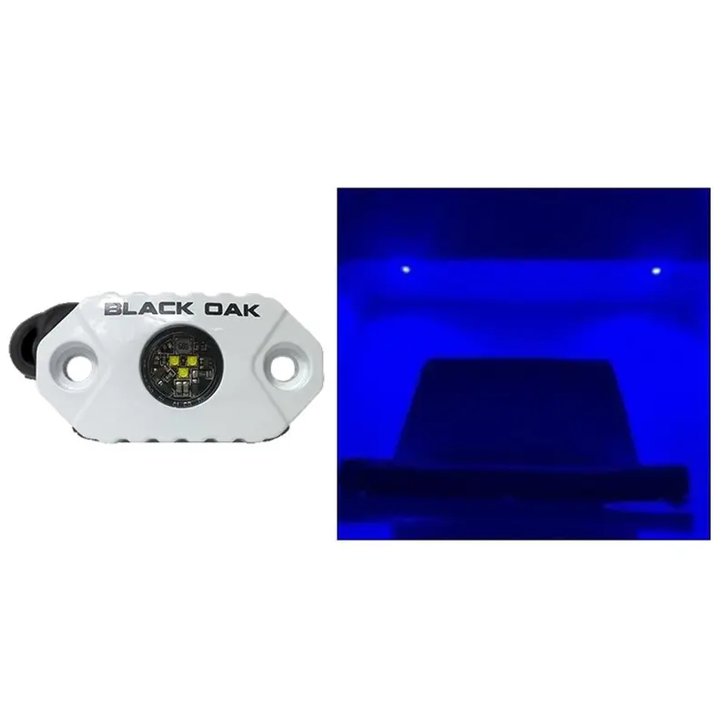 Black Oak Rock Accent Light – Blue Led – White Housing 1