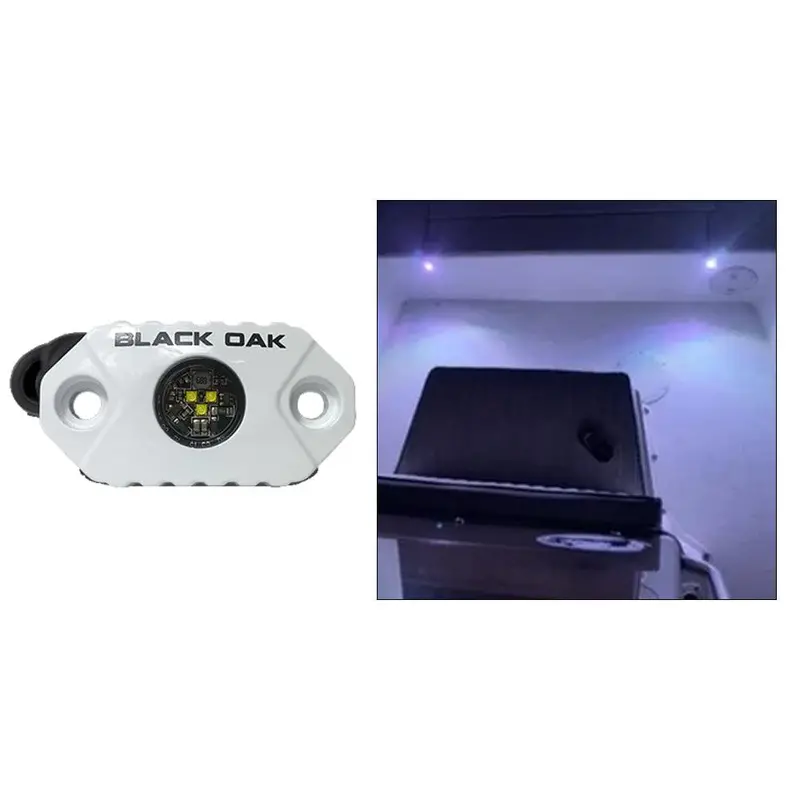 Black Oak Rock Accent Light – White Led – White Housing 1