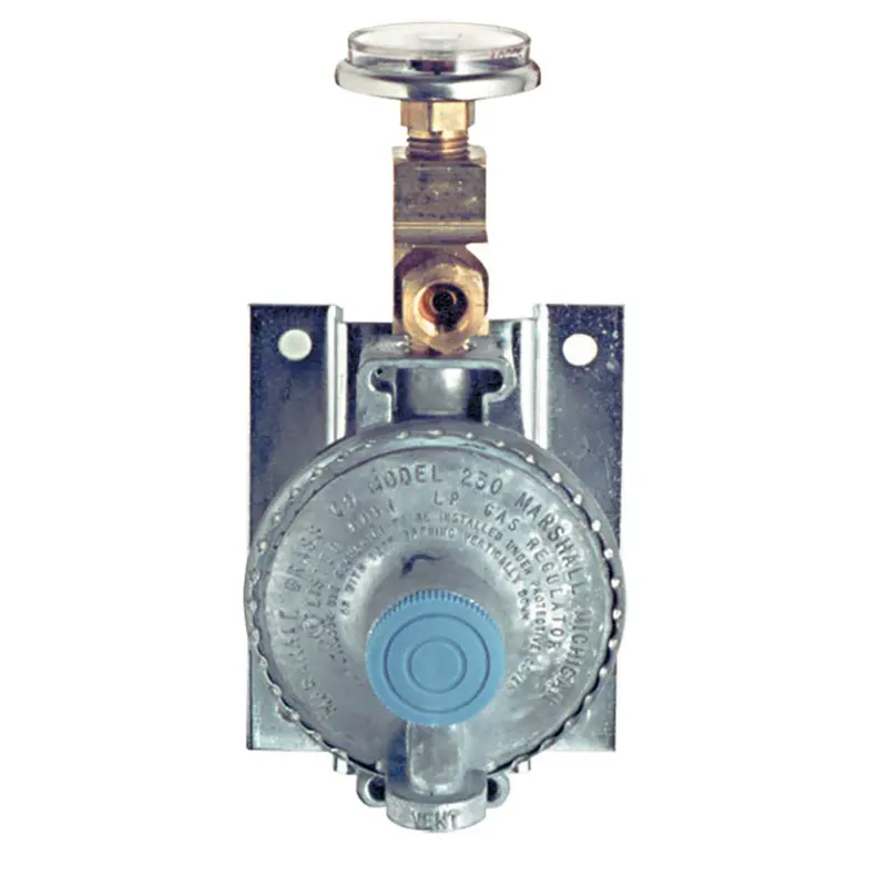 Trident Marine Single-Stage Propane Regulator – 300 Psi Pressure Gauge, Wall-Mount Design (1211-1411) 1